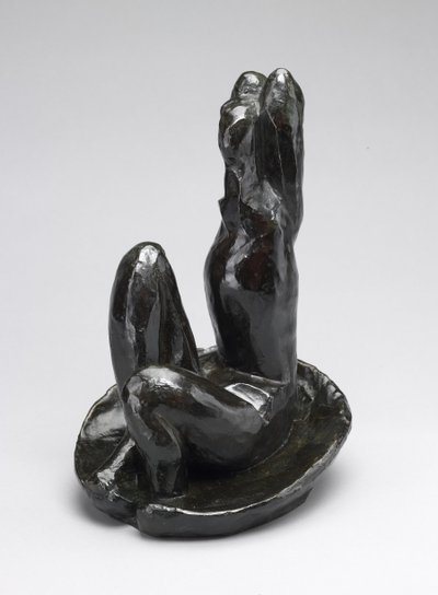Venus i en skal I af Henri Matisse