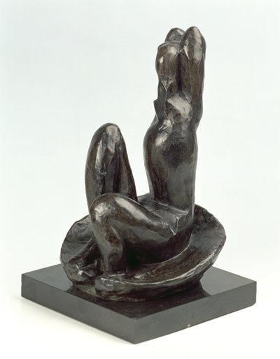 Venus i en skal I af Henri Matisse