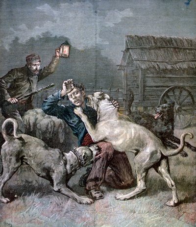 En kriminel angrebet af tre store hunde, 1891 af Henri Meyer