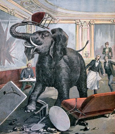 En elefant i den præ-catalanske café, Toulouse, Frankrig, 1891 af Henri Meyer
