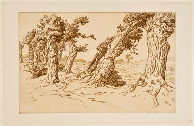 Knotige Baumstämme af Henri Rivière