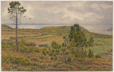 Douarnenez-bugten. Morgat af Henri Rivière