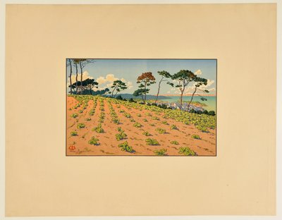 [Douarnenez set fra Route du Ris] af Henri Rivière
