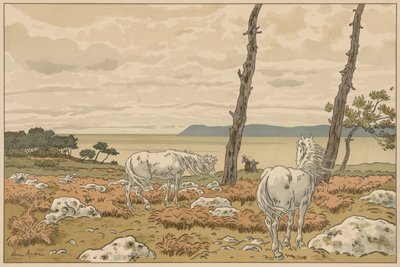 Naturens aspekter: Bugten af Henri Rivière