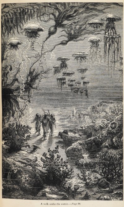 Illustration til 