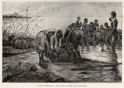 En flodhesteslagterbutik på bredden af en centralafrikansk flod. Gravering af Henri Thiriat for at illustrere historien "" La mission Crampel"", af Albert Nebout (1862-1939), i 1890, i Le tour du Monde 1892, instrueret af Edouard Charton (1807-1891), Hache af Henri Thiriat