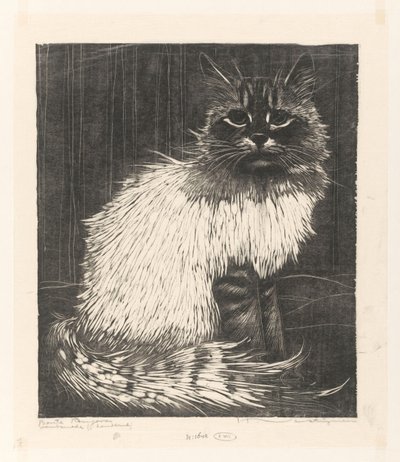 Bonte Angora (original titel på objekt) af Henri Verstijnen (signed by artist)