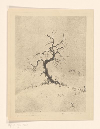 Lonely Tree (original titel på objektet) af Henri Verstijnen (signed by artist)