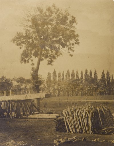 [Landskab med baller af afskårne træstammer]. af Henri Victor Regnault