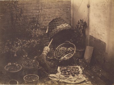 [Stilleben med halmkurve, kost, åbnet kartoffelsæk og potteplanter]. af Henri Victor Regnault