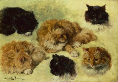 Studier af katte af Henriëtte Ronner Knip