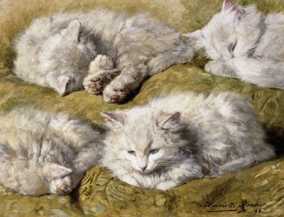Studier af en langhåret hvid kat, 1896 af Henriëtte Ronner Knip