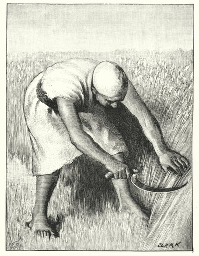 Høst i øst (litho) af Henry Andrew Harper