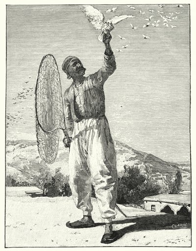 Snarrende fugle i hustop i øst (litho) af Henry Andrew Harper