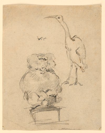 Studier af en hejre og en abe af Henry Bernard Chalon