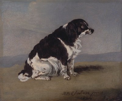 Hertuginden af Yorks spaniel af Henry Bernard Chalon