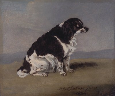 Hertuginden af Yorks spaniel af Henry Bernard Chalon