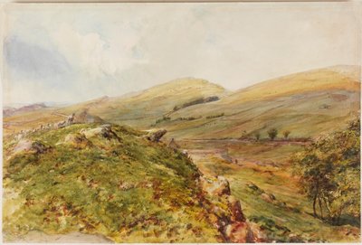 Cockmount Hill (kropsfarve) af Henry Burdon Richardson