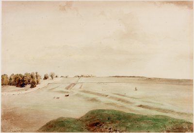 Down Hill, Northumberland (kropsfarve) af Henry Burdon Richardson