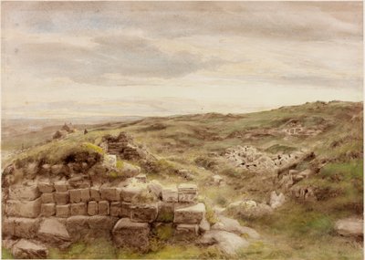 Husstande (kropsfarve) af Henry Burdon Richardson