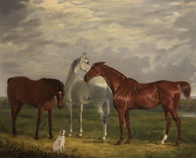Three Horses of the 2nd Lord de Tabley and His Dog, Vic, 1838 af Henry Calvert