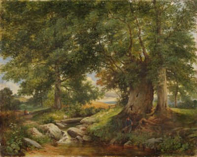 En ørredstrøm nær Worcester, 1866 af Henry Chaplin