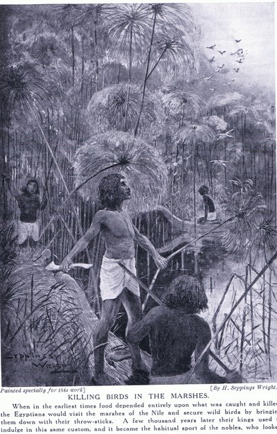 Dræber fugle i marsken, ca. 1920 af Henry Charles Seppings Wright