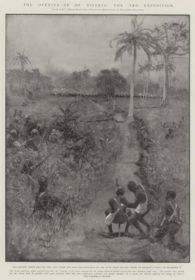 Åbningen af Nigeria, Aro-ekspeditionen af Henry Charles Seppings Wright