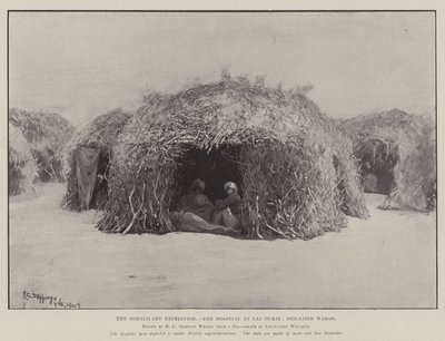 Somaliland-ekspeditionen, hospitalet i Las Durie, isolationsafdelinger af Henry Charles Seppings Wright