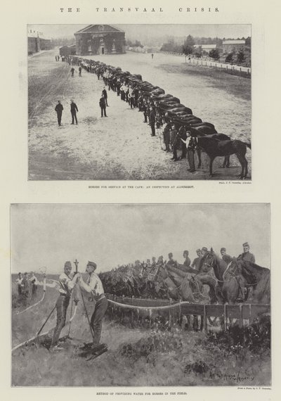 Transvaal-krisen af Henry Charles Seppings Wright