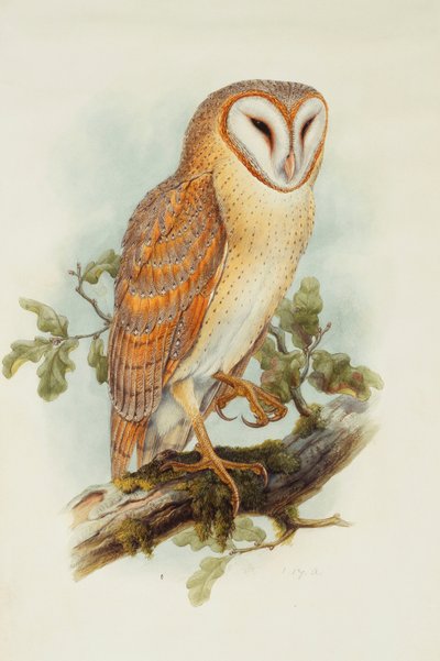Kirkeugle, af Henry Constantine Richter