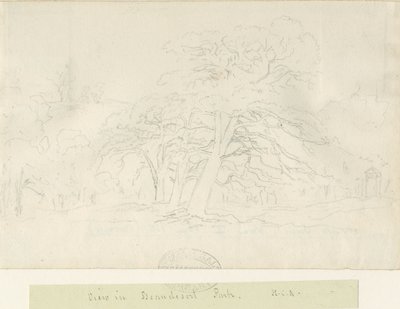 Beaudesert Park: blyantstegning, nd [1788-1855] af Henry Curzon Allport