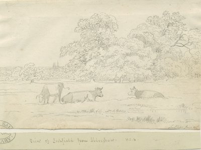 Lichfield - Udsigt fra Aldershaw af Henry Curzon Allport
