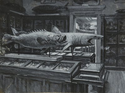 Indvendigt billede af British Museum, der viser galleriet med fiskeudstillinger, ca. 1880 (vask og kropsfarve på papir) af Henry Edward Tidmarsh