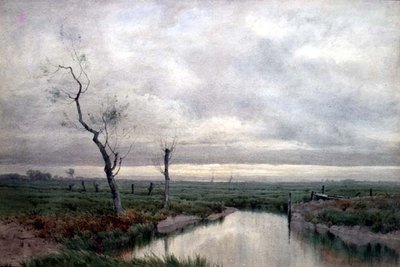 Coastal Marshlands (akvarel) af Henry Farrer