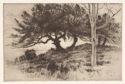 Nær havet af Henry Farrer