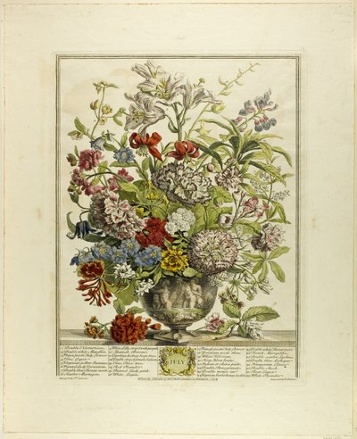 Juli, fra Tolv måneders blomster af Henry Fletcher