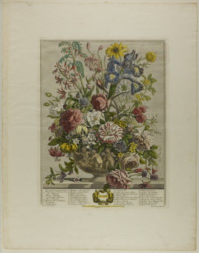 juni, fra Tolv måneder med blomster af Henry Fletcher