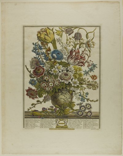 marts, fra Tolv måneder med blomster af Henry Fletcher