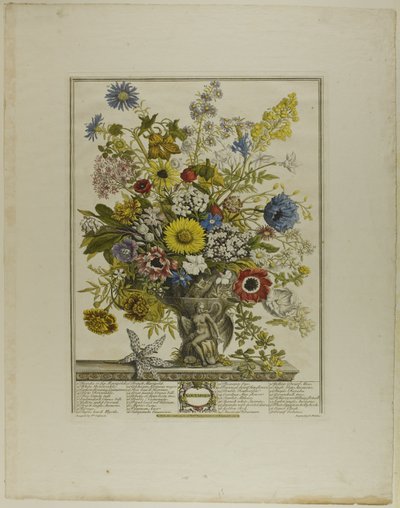 november, fra Tolv måneder med blomster af Henry Fletcher