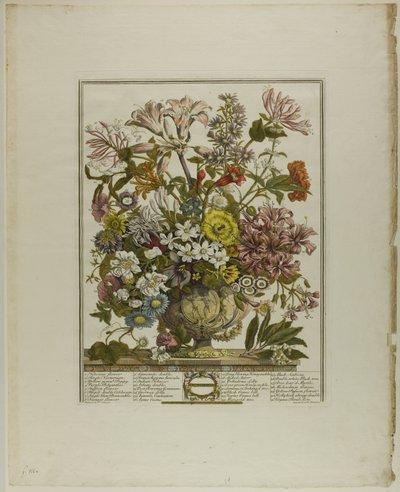 oktober, fra Tolv måneder med blomster af Henry Fletcher