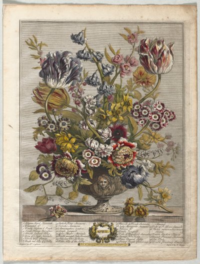 Tolv måneders blomster: april 1730. af Henry Fletcher