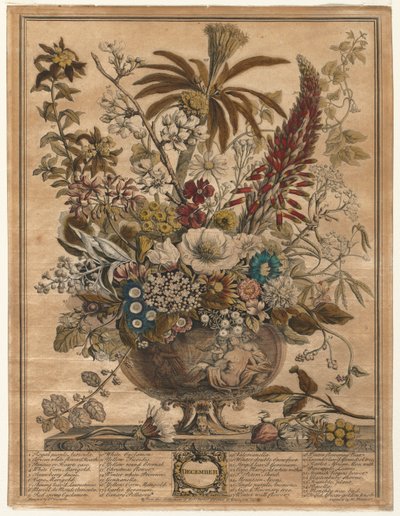 Tolv måneders blomster: december 1730. af Henry Fletcher