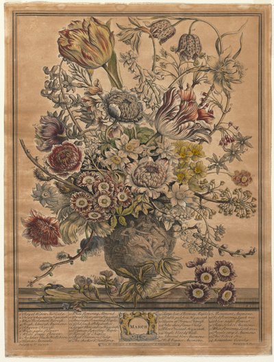 Tolv måneders blomster: marts af Henry Fletcher