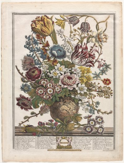 Tolv måneders blomster: marts af Henry Fletcher