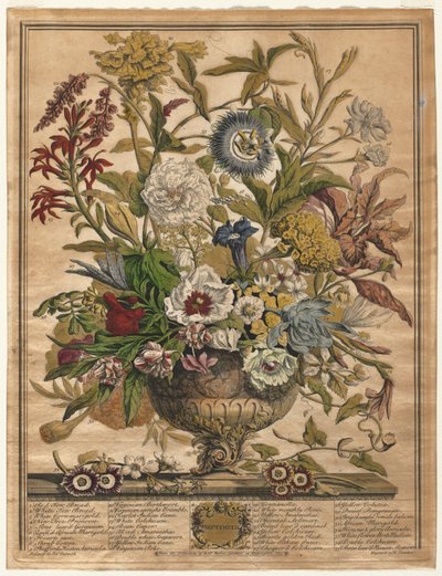 Tolv måneders blomster: september af Henry Fletcher