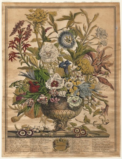 Tolv måneders blomster: september 1730. af Henry Fletcher