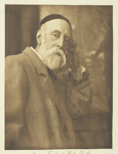 George Frederick Watts, R.A. af Henry Herschel Hay Cameron