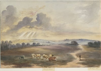 Cannock Chase - "Heath": vandfarvemaleri, 1844 af Henry James Noyes