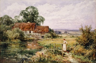 Ser på ænder af Henry John Sylvester Stannard